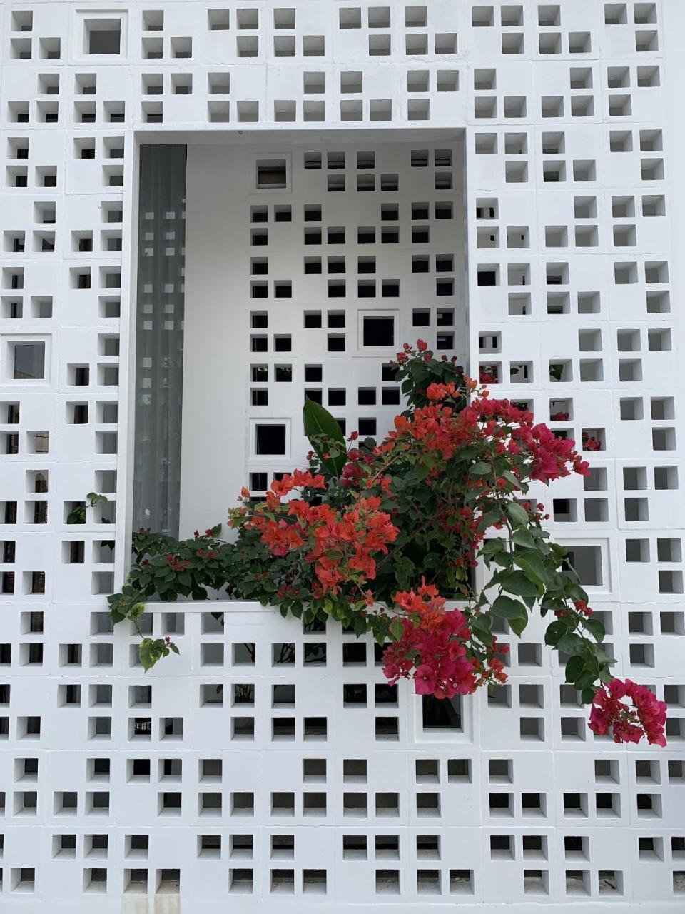 La An Homestay ฮอยอัน ภายนอก รูปภาพ